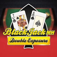 Blackjack Double Exposure